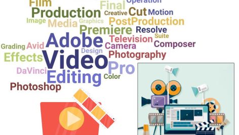 Terminology-editing