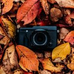 Photography in autumn