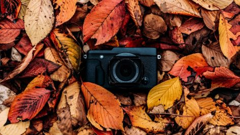 Photography in autumn
