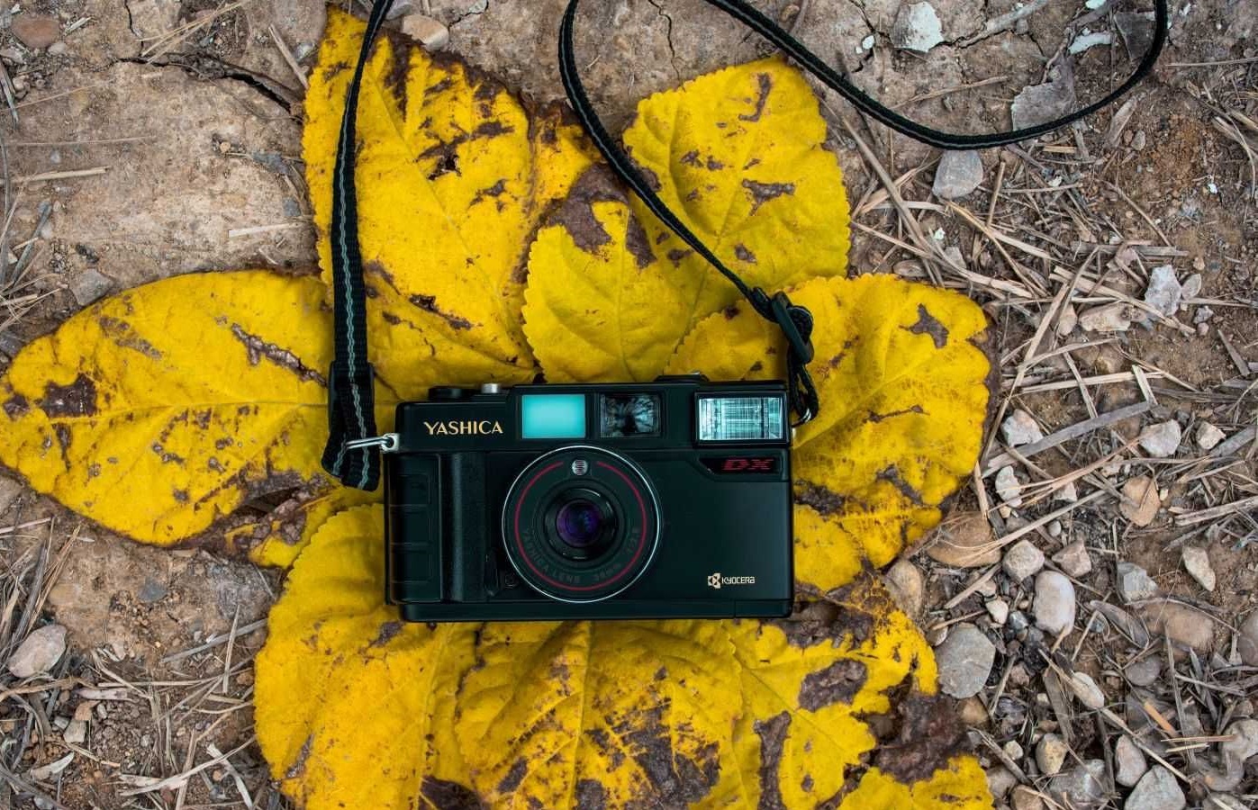 Photography in autumn