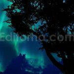 دانلود فوتیج تایم لپس شفق قطبی