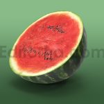 دانلود مدل آماده سه بعدی: هندوانه