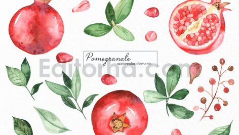 دانلود پکیج کامل پترن و کلیپ آرت آبرنگی انار Watercolor Pomegranate clipart
