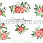 دانلود پکیج کامل پترن و کلیپ آرت آبرنگی انار Watercolor Pomegranate clipart