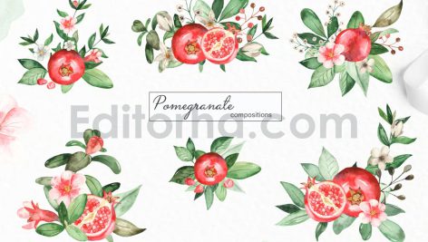 دانلود پکیج کامل پترن و کلیپ آرت آبرنگی انار Watercolor Pomegranate clipart