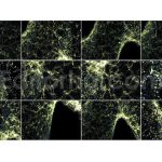 دانلود مجموعه ۱۲ تایی اورلی اکلیل جادویی Magic Sparkles Photo Overlays