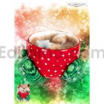 دانلود اکشن دانه برفی کریسمس فتوشاپ Christmas 2 Photoshop Action