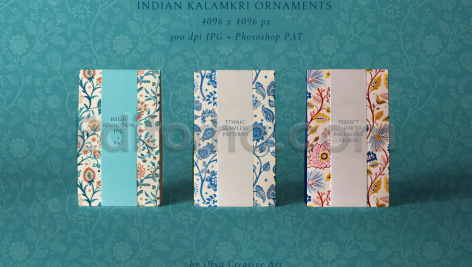 دانلود مجموعه پترن سنتی هندی Indian Ethnic Traditional Print Seamless Patterns