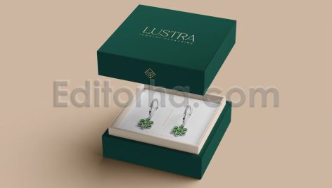 دانلود موکاپ لایه باز جعبه جواهرات Jewelry Box Mockup
