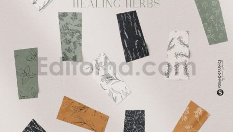 دانلود پترن و طراحی با تم گیاهی Herbs Patterns & Illustrations