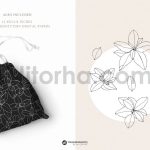 دانلود پترن و طراحی با تم گیاهی Herbs Patterns & Illustrations