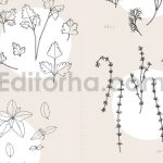 دانلود پترن و طراحی با تم گیاهی Herbs Patterns & Illustrations