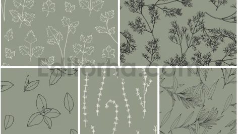 دانلود پترن و طراحی با تم گیاهی Herbs Patterns & Illustrations