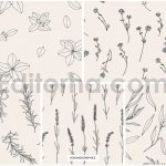 دانلود پترن و طراحی با تم گیاهی Herbs Patterns & Illustrations