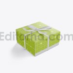 دانلود موکاپ جعبه با روبان پاپیونی Set Gift Box Mockup with Bow Mockup