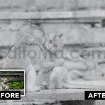 دانلود فایل افکت عکس طراحی با مداد Pencil Sketch Photo Effect