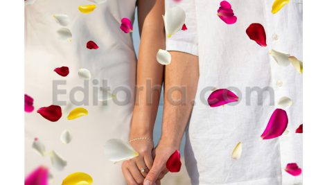 دانلود مجموعه۱۰ تایی اورلی گلبرگ گل رز Colorful Flower Petals Overlays