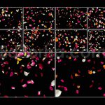 دانلود مجموعه۱۰ تایی اورلی گلبرگ گل رز Colorful Flower Petals Overlays