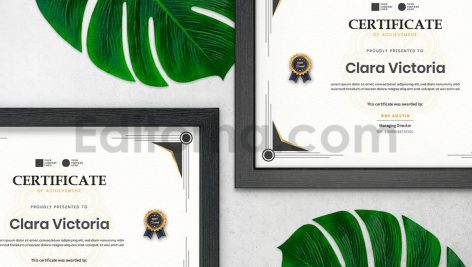 دانلود فایل لایه باز سرتیفیکیت سفید کلاسیک White Classic Certificate / Diploma Template