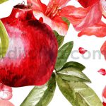 دانلود وکتور انار آبرنگی، شب یلدا