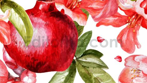 دانلود وکتور انار آبرنگی، شب یلدا