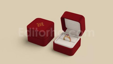 دانلود موکاپ لایه باز جعبه جواهرات