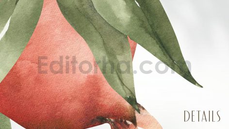 دانلود کلیپ آرت آبرنگی انار