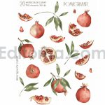 دانلود کلیپ آرت آبرنگی انار