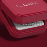 دانلود موکاپ لایه باز جعبه جواهرات Jewelry Box Mockup
