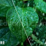 دانلود مجموعه لایه باز ۲۰ عددی اورلی باران واقع‌ گرایانه Realistic Rain Photo Overlays
