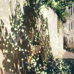 دانلود مجموعه ۱۲ تایی اورلی اکلیل جادویی Magic Sparkles Photo Overlays