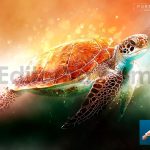 دانلود اکشن فوکوس نرم فتوشاپ