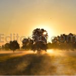 دانلود ۵۰ تکسچر دودی ۵۰ Smoke Overlays