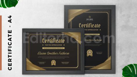 دانلود فایل لایه باز گواهی طلایی قدیمی