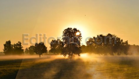 دانلود ۵۰ تکسچر دودی ۵۰ Smoke Overlays