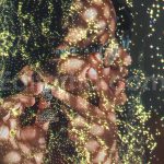 دانلود مجموعه ۱۲ تایی اورلی اکلیل جادویی Magic Sparkles Photo Overlays