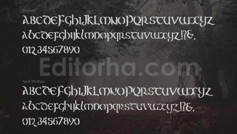 مجموعه وکتور پترن های سلتیک Celtic patterns vector bundle