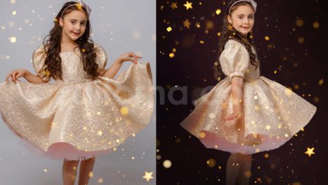 دانلود مجموعه ۷۵ عددی اورلی اکلیل طلایی Glitter Overlays, Sparkle Effect for Photo Edit