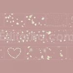 دانلود مجموعه ۱۵ عددی اورلی گلبرگ های رز سفید White Rose Petals Overlays