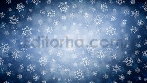 دانلود مجموعه ۱۰تایی بک گراند دانه های برفی  Winter Snowflakes Backgrounds