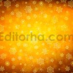 دانلود مجموعه ۱۰تایی بک گراند دانه های برفی  Winter Snowflakes Backgrounds