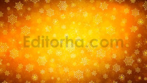 دانلود مجموعه ۱۰تایی بک گراند دانه های برفی  Winter Snowflakes Backgrounds