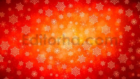دانلود مجموعه ۱۰تایی بک گراند دانه های برفی  Winter Snowflakes Backgrounds