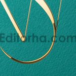موکاپ لوگو4