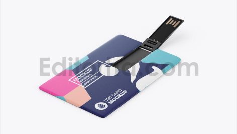 موکاپ فلش مموری کارتی1