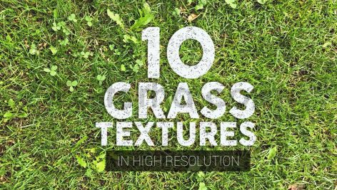 دانلود 10 تکسچر باکیفیت بافت انواع چمن Grass Textures