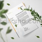دانلود فایل لایه باز سربرگ Letterhead Template