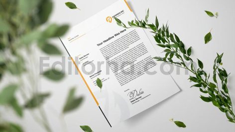 دانلود فایل لایه باز سربرگ Letterhead Template