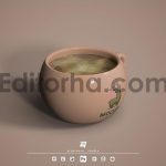 موکاپ ماگ3