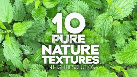 دانلود تکسچر طبیعت Pure Nature Textures x10